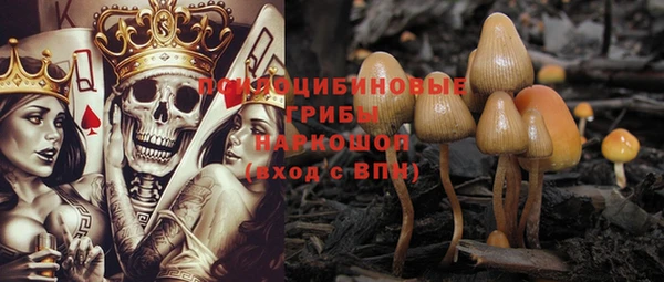 хмурый Балахна